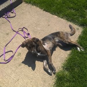 Meet your Posher, Grace